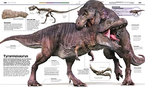 DK Wissen. Dinosaurier: Die Urzeitriesen in spektakulären Bildern. Für Kinder ab 8 Jahren – Bild 4