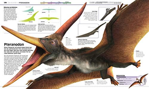 DK Wissen. Dinosaurier: Die Urzeitriesen in spektakulären Bildern. Für Kinder ab 8 Jahren – Bild 3