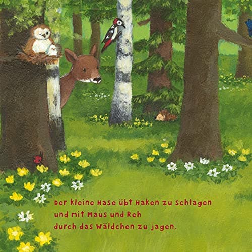 Baby Pixi (unkaputtbar) 97: Der kleine Hase: Ein Baby-Buch mit farbigem Register ab 1 Jahr – Bild 4