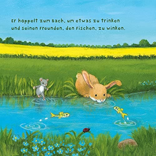 Baby Pixi (unkaputtbar) 97: Der kleine Hase: Ein Baby-Buch mit farbigem Register ab 1 Jahr – Bild 6