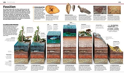DK Wissen. Dinosaurier: Die Urzeitriesen in spektakulären Bildern. Für Kinder ab 8 Jahren – Bild 6