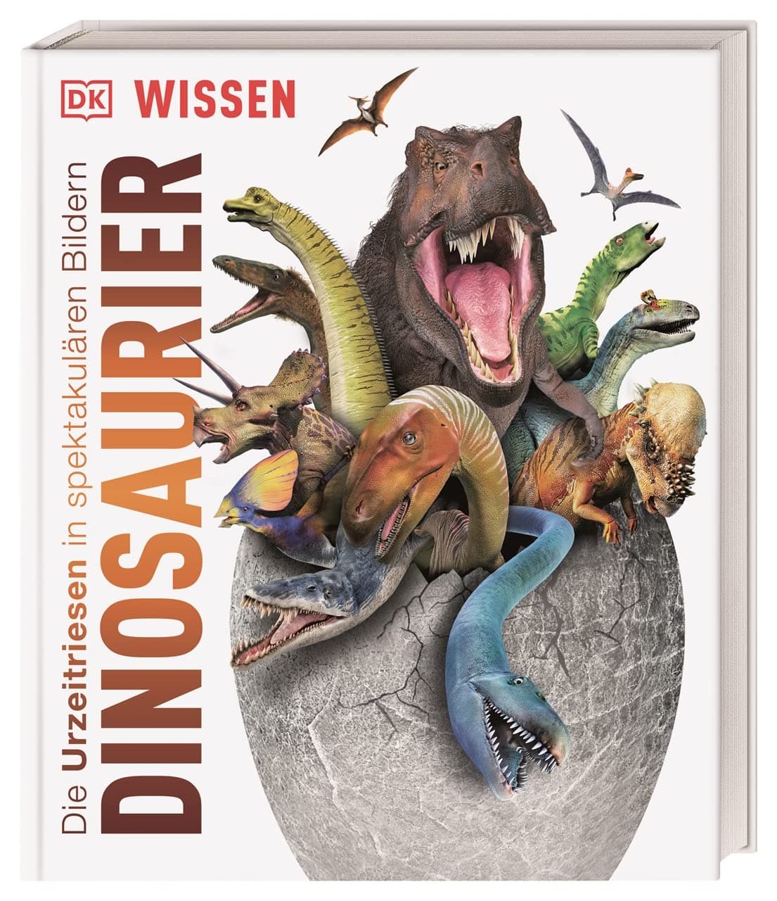 DK Wissen. Dinosaurier: Die Urzeitriesen in spektakulären Bildern. Für Kinder ab 8 Jahren – Bild 1